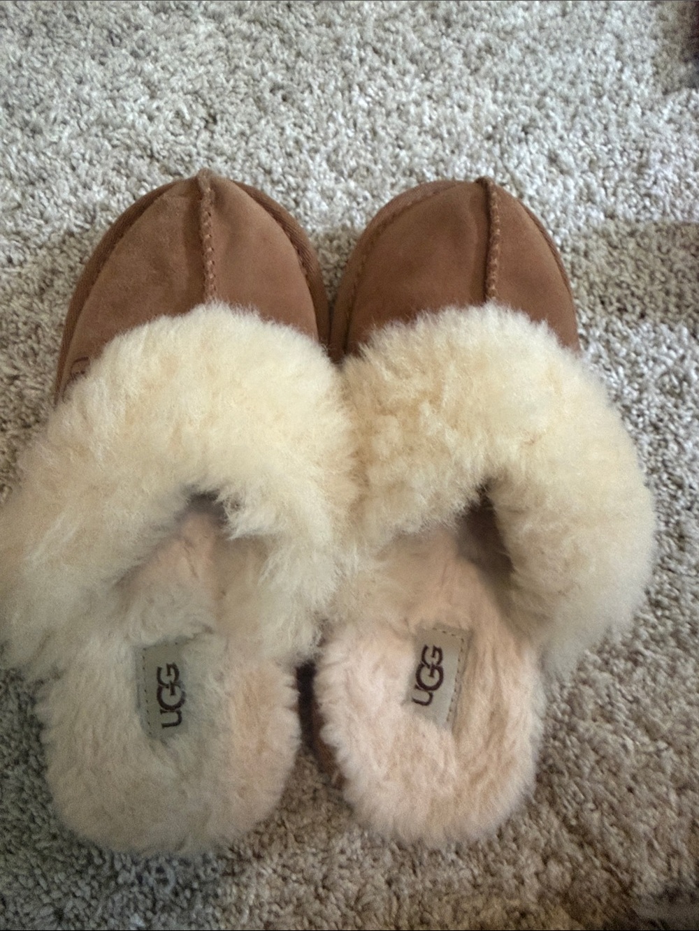 UGG Chestnut/Tan Suede Shearling Mule Slippers